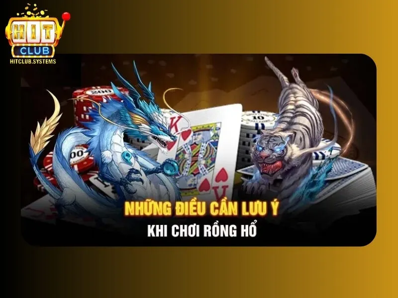 Mẹo chơi rồng hổ dễ dàng thắng lớn